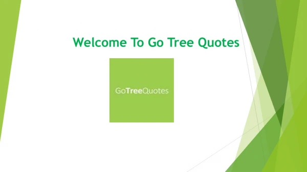 Tree removal Services in Brisbane