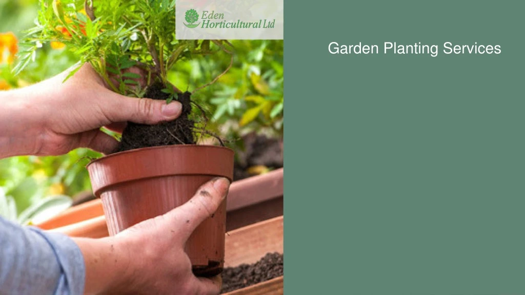 garden planting services