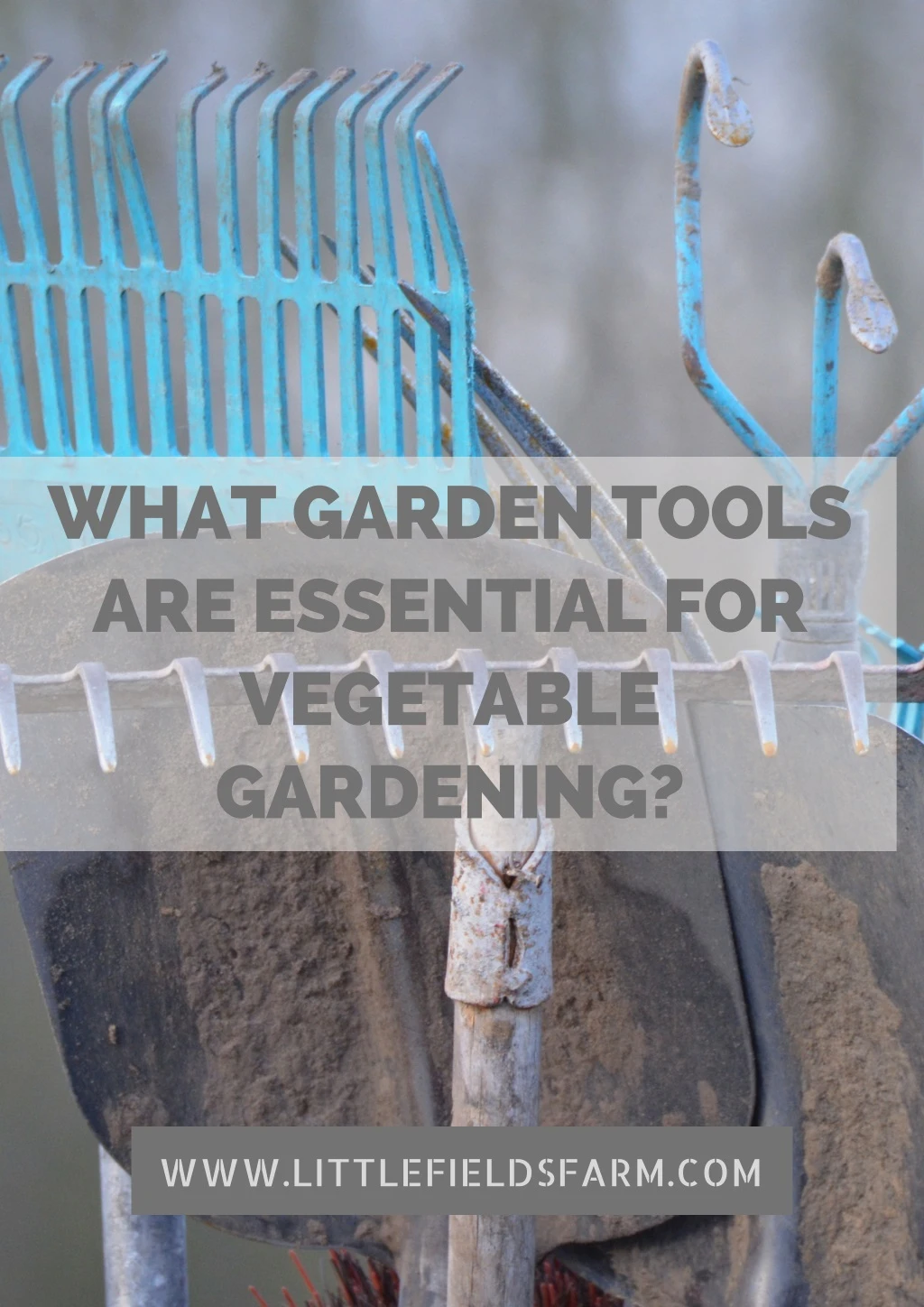 what garden tools are essential for vegetable
