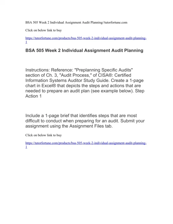 BSA 505 Week 2 Individual Assignment Audit Planning//tutorfortune.com