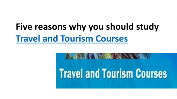 Five reasons why you should study Travel and Tourism Courses