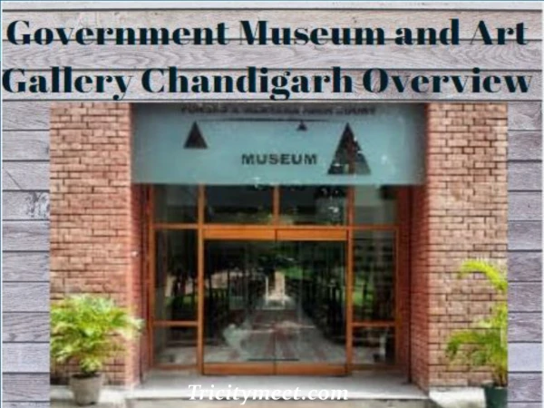 Government Museum and Art Gallery Chandigarh Overview