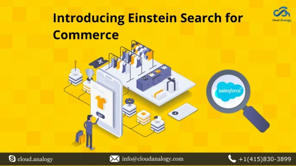 Introducing Einstein Search for Commerce