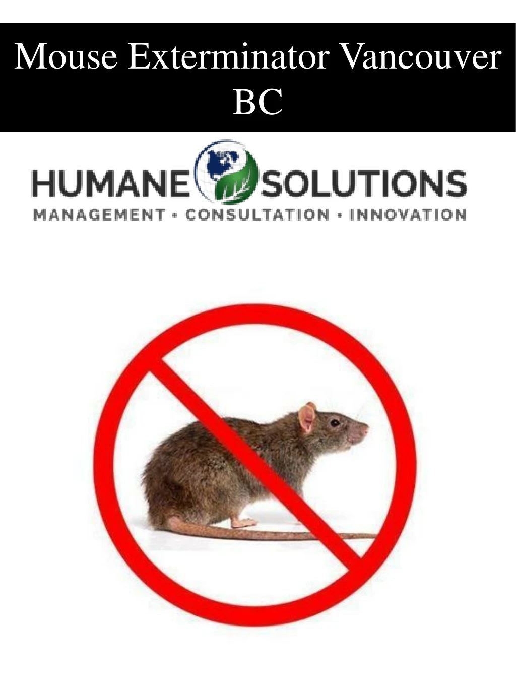 mouse exterminator vancouver bc