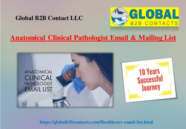 global b2b contact llc