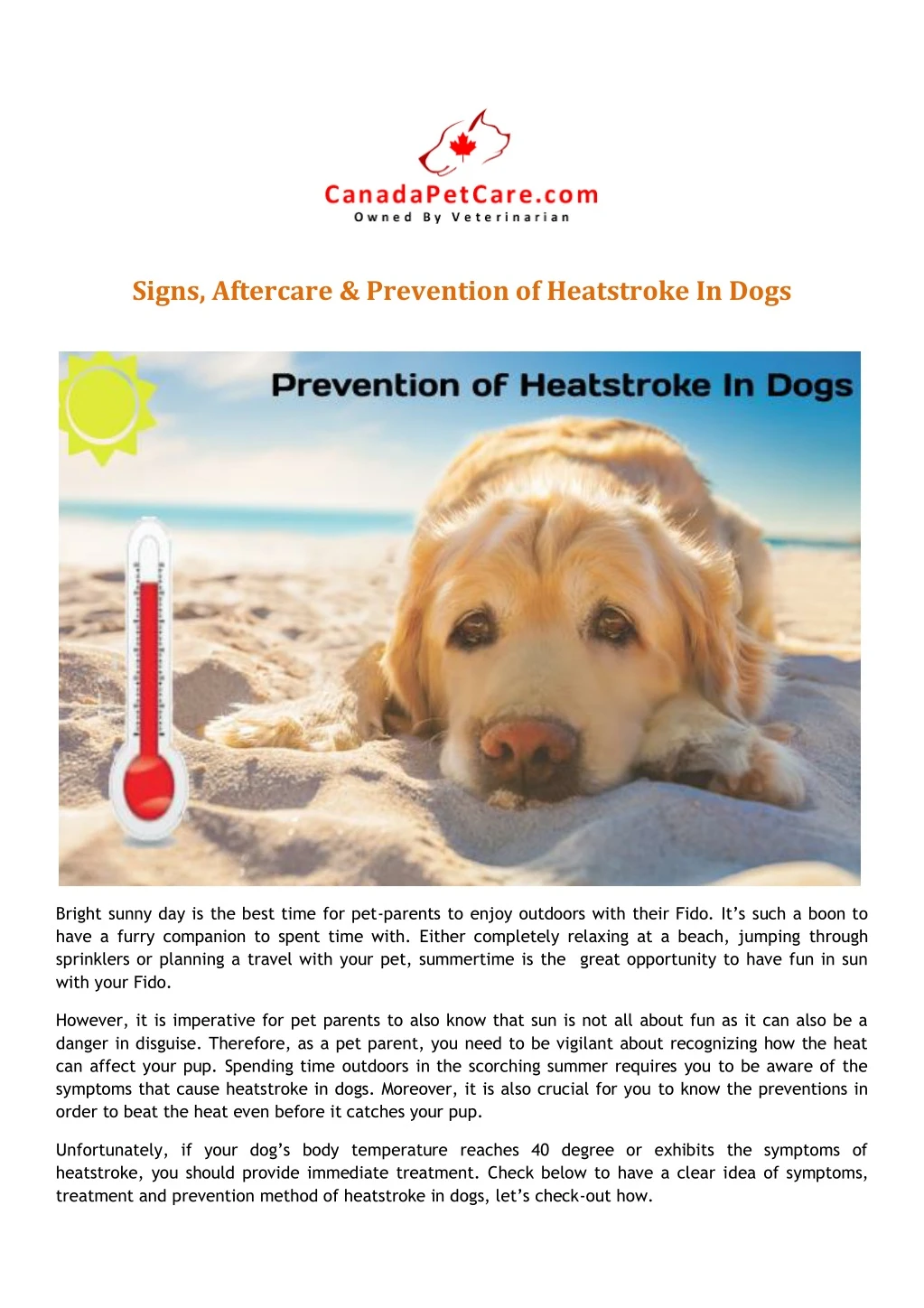 signs aftercare prevention of heatstroke in dogs