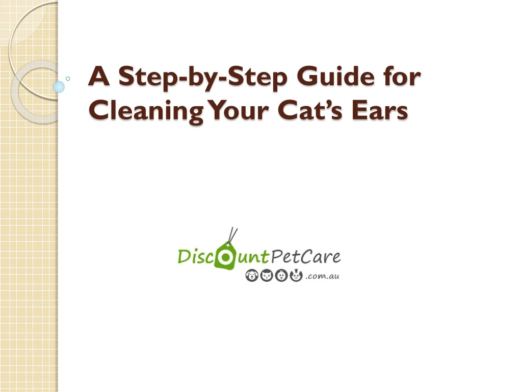 a step by step guide for cleaning your cat s ears