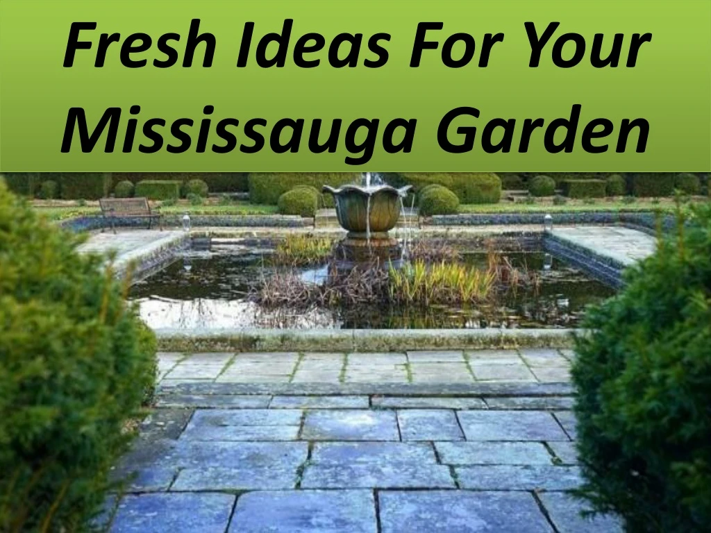 fresh ideas for your mississauga garden