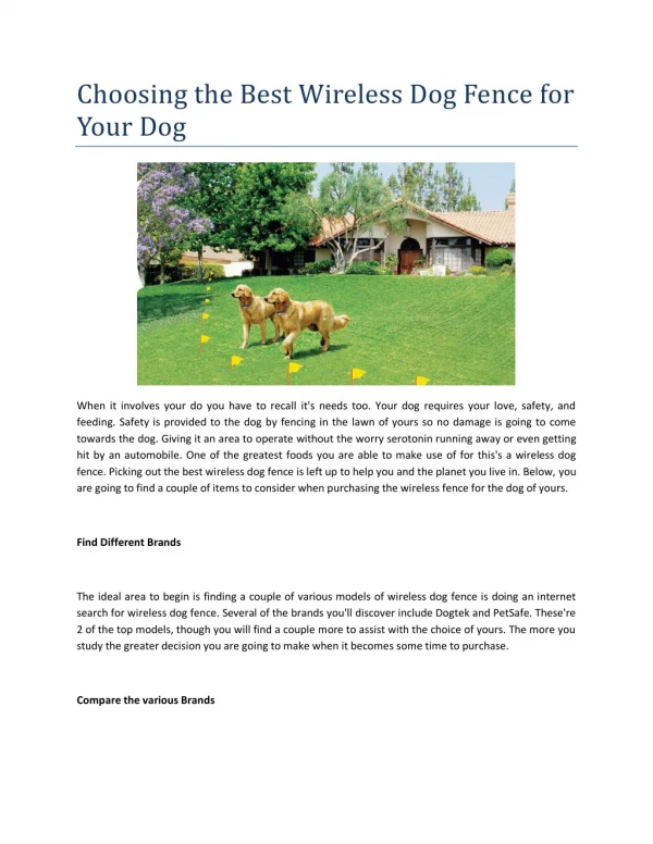 Best wireless dog fence