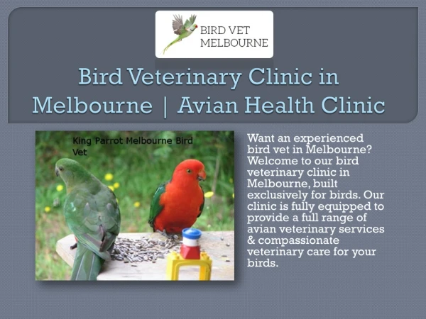 Bird Veterinary Clinic in Melbourne | Avian Health Clinic