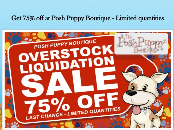 Get 75% off at Posh Puppy Boutique - Limited quantities