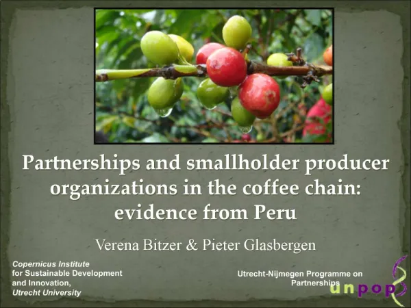 Partnerships and smallholder producer organizations in the coffee chain: evidence from Peru Verena Bitzer Pieter Glasb