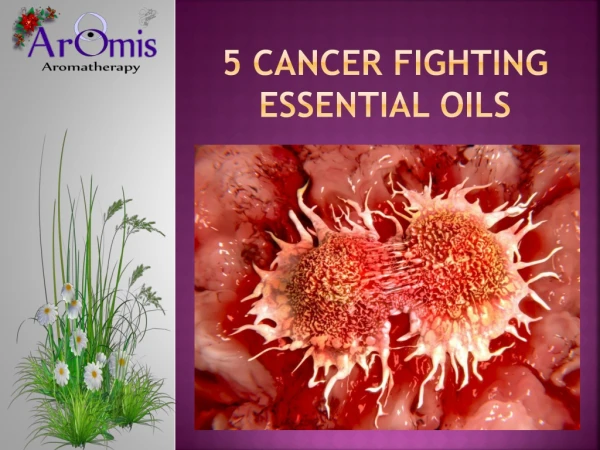 5 Cancer Fighting Essential Oils
