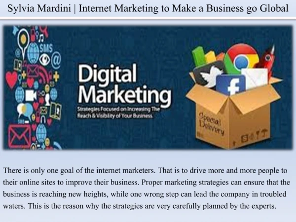 Sylvia Mardini | Internet Marketing to Make a Business go Global