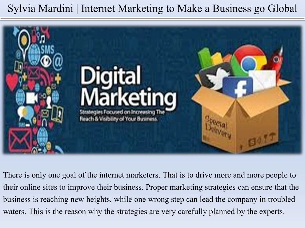 sylvia mardini internet marketing to make