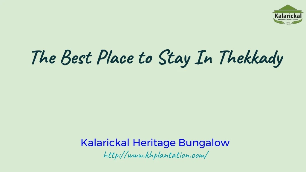 the best place to stay in thekkady