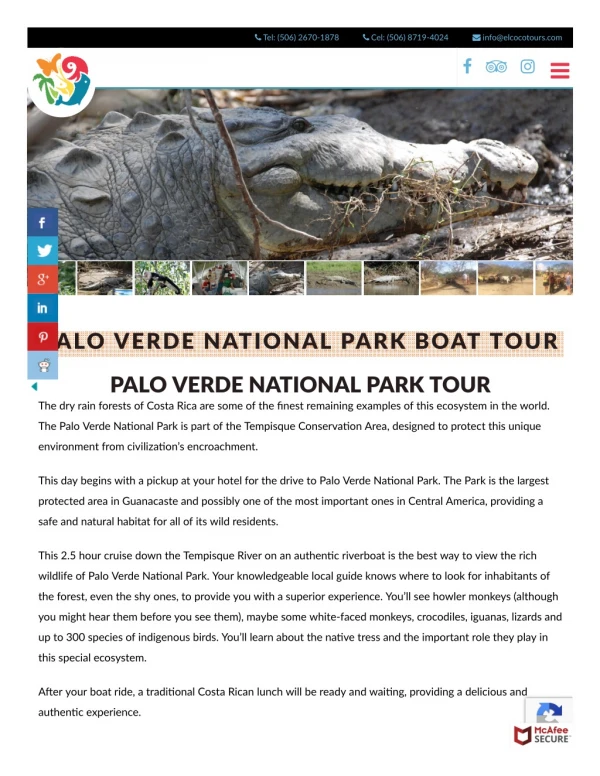 Enjoy boat tour in Palo Verde National Park