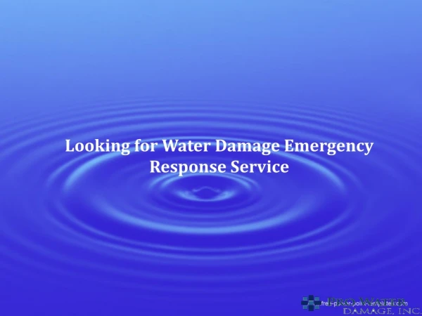 Looking for Water Damage Emergency Response Service