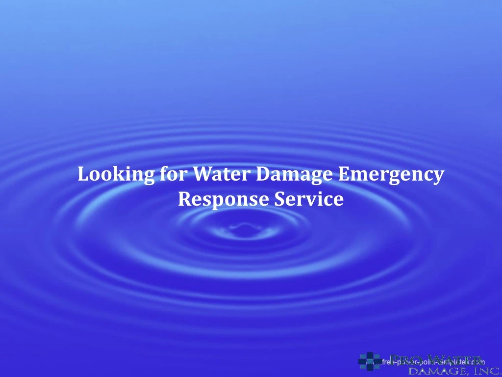 looking for water damage emergency response