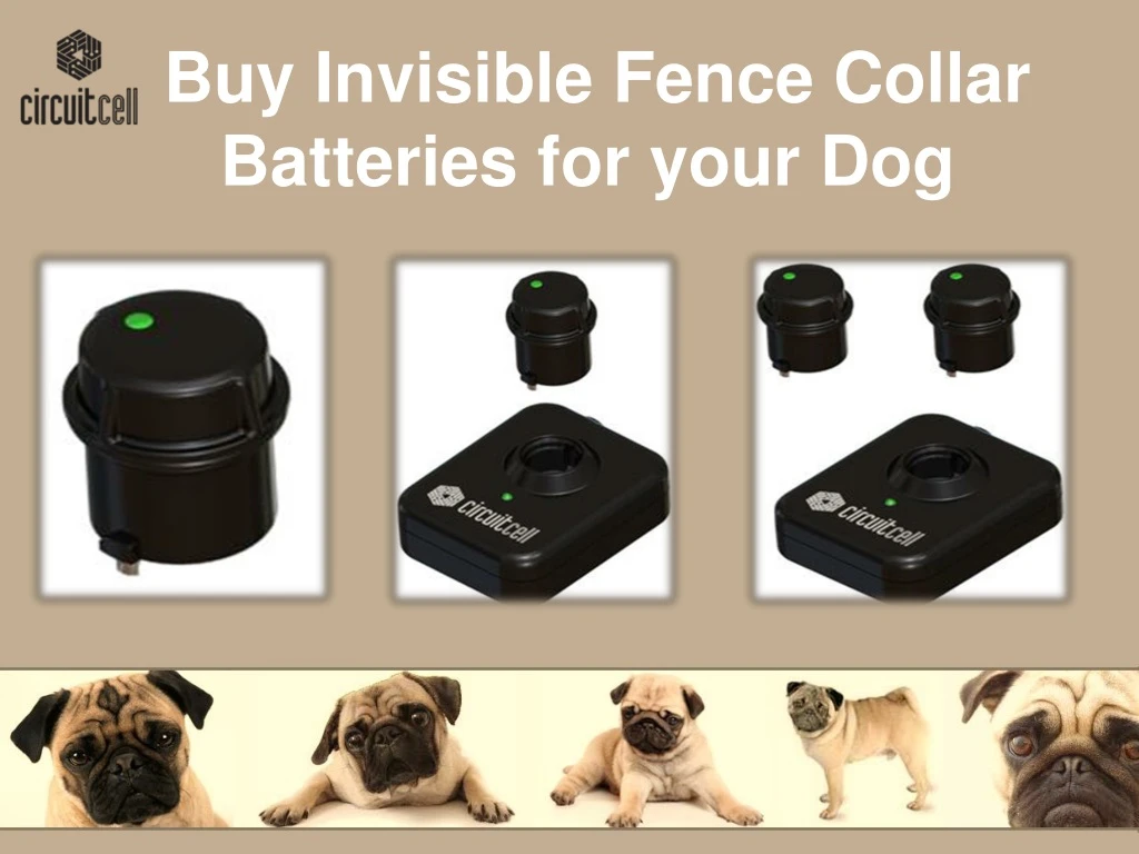 buy invisible fence collar batteries for your dog