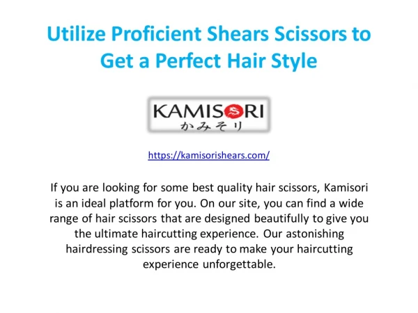 Utilize Proficient Shears Scissors to Get a Perfect Hair Style