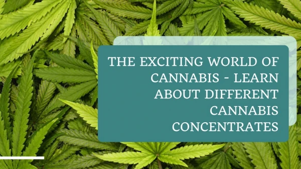 THE EXCITING WORLD OF CANNABIS - LEARN ABOUT DIFFERENT CANNABIS CONCENTRATES