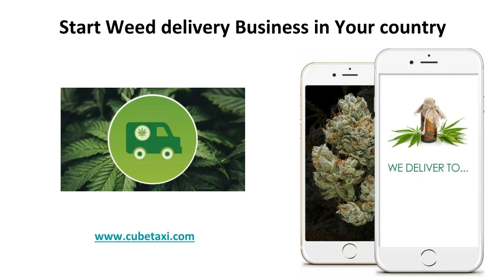 start weed delivery business in your country