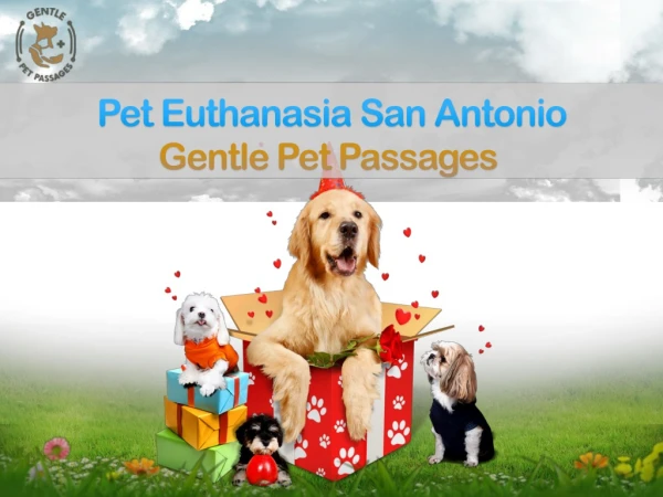 Pet Euthanasia San Antonio by Gentle Pet Passages