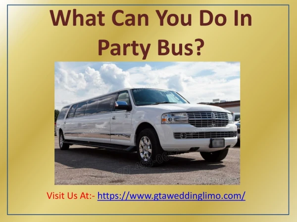 What Can You Do In Party Bus?