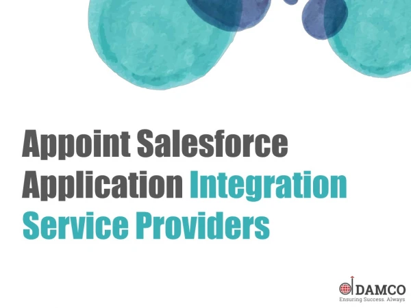 Appoint Salesforce Application Integration Service Providers
