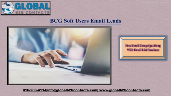 BCGSoft Users Email Leads