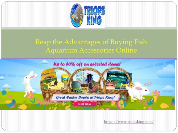 Reap the Advantages of Buying Fish Aquarium Accessories Online
