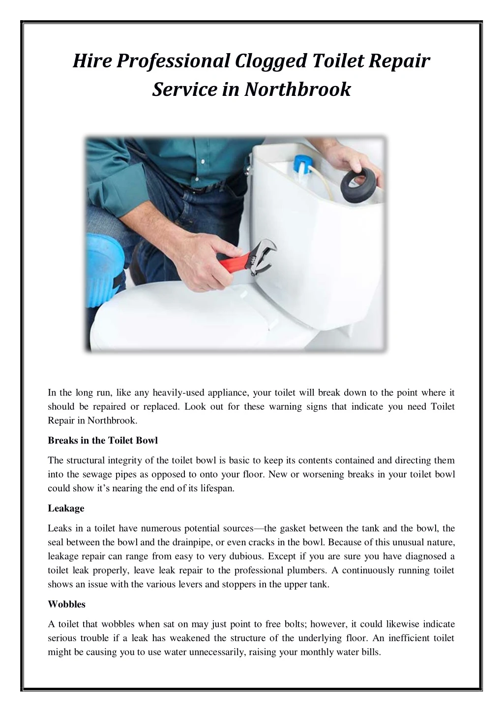 hire professional clogged toilet repair service