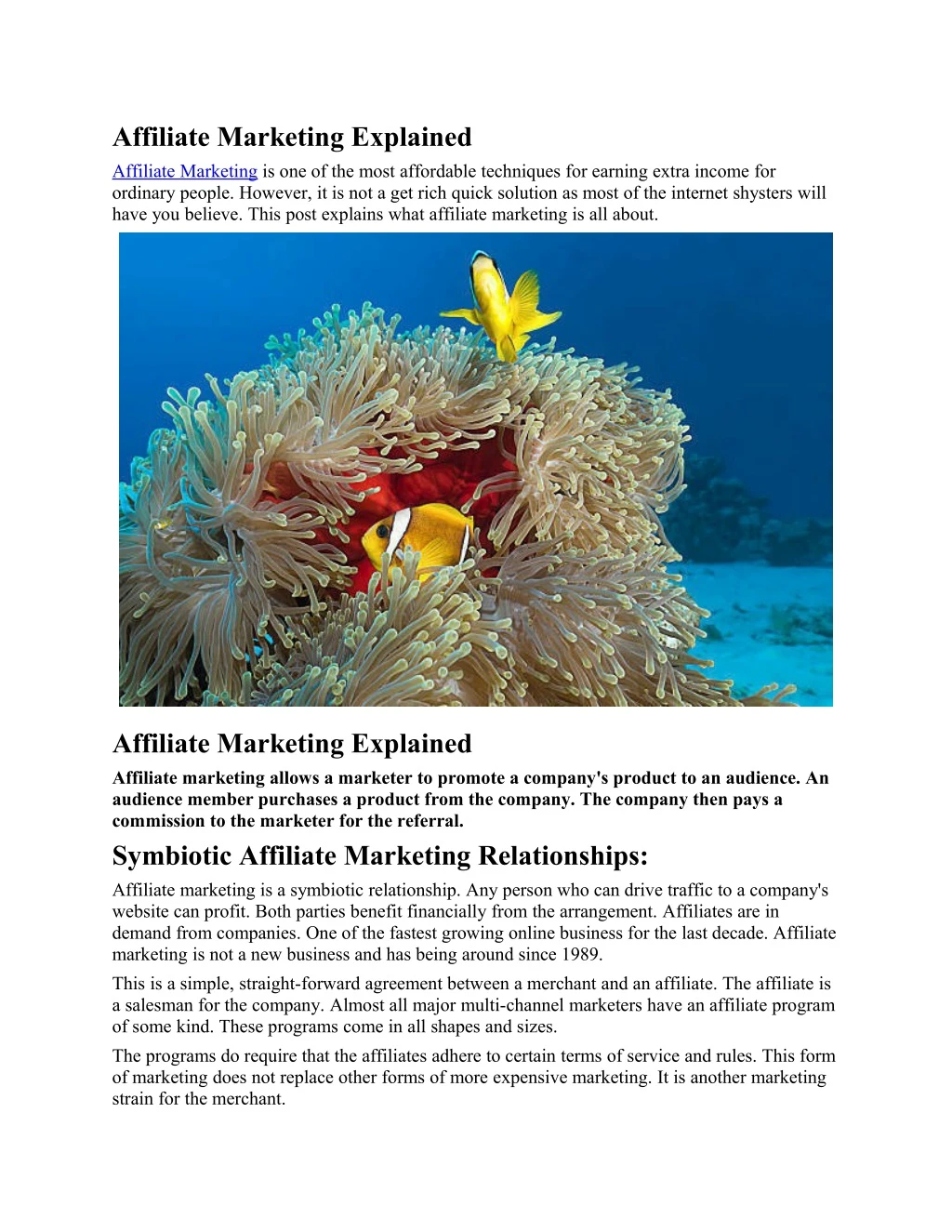 affiliate marketing explained affiliate marketing