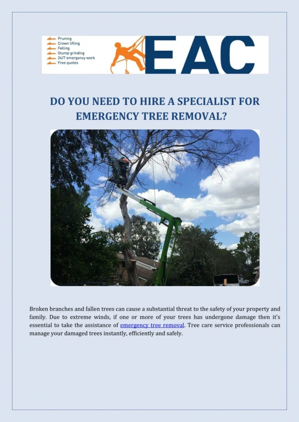 Hire a specialist for emergency tree removal Sydney