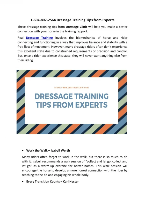 1-604-807-2564 Dressage Training Tips from Experts