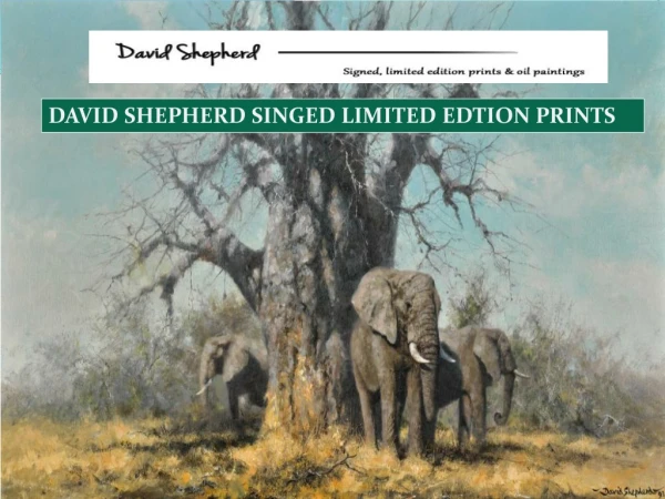 David shepherd signed limited edition prints
