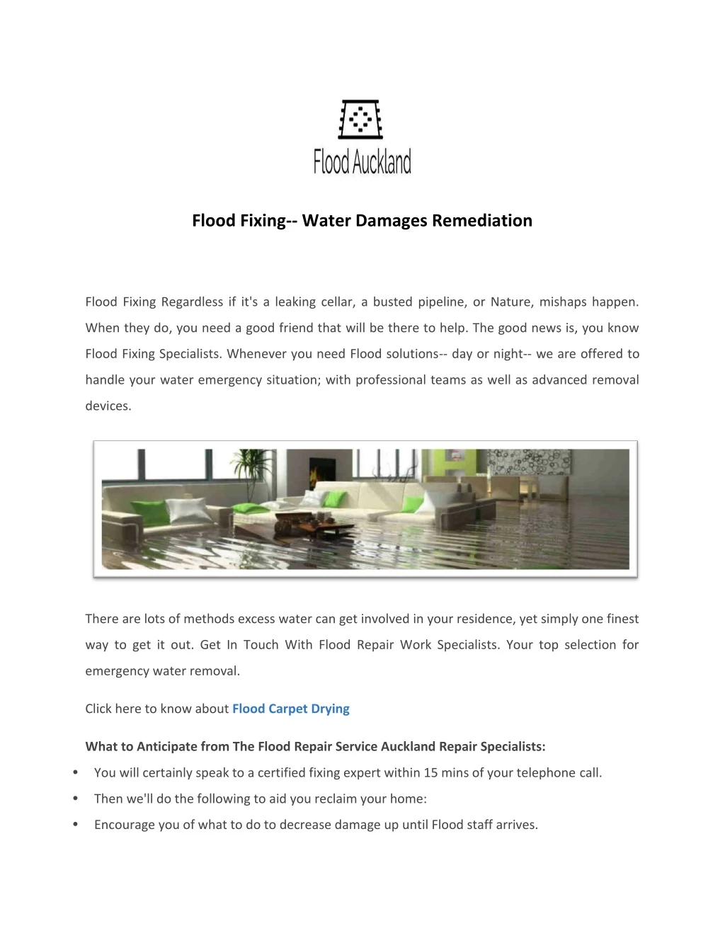 flood fixing water damages remediation