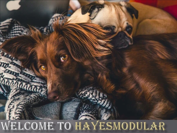 Galvanized & Steel Dog Runs Cork, Ireland| Hayes Modular