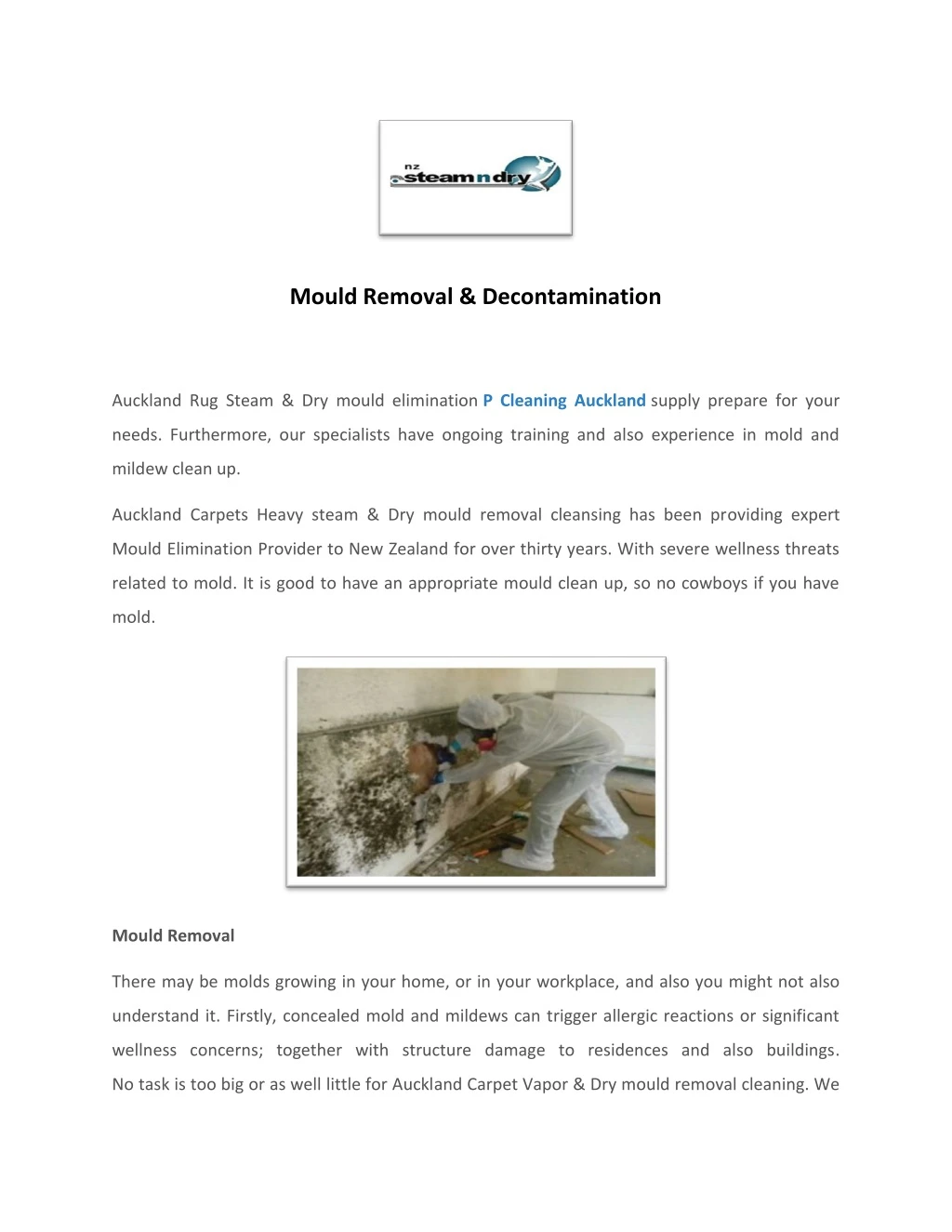 mould removal decontamination