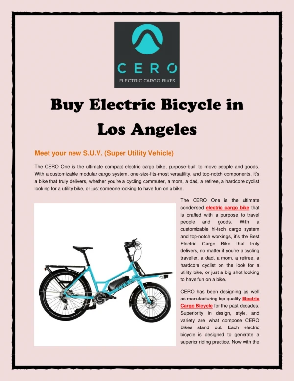 Buy Electric Bicycle in Los Angeles