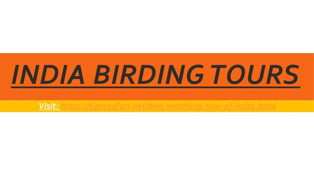 india birding tours