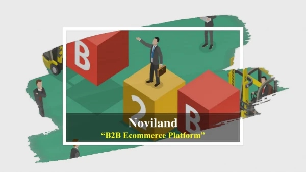 Avail the Benefits of B2B Ecommerce Platform with Noviland
