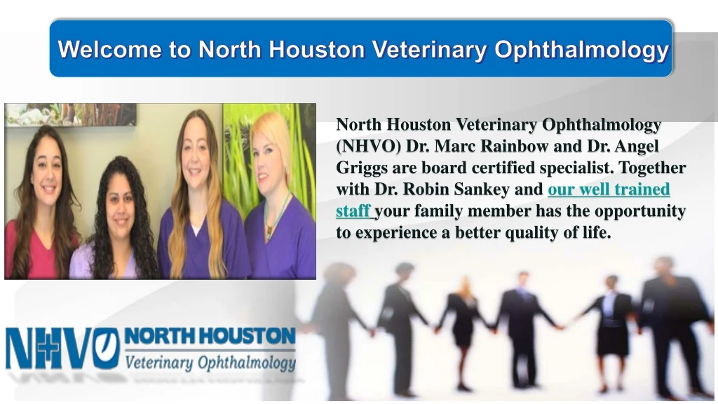 welcome to north houston veterinary ophthalmology
