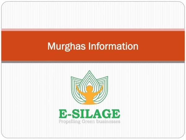 Esilage | Silage or Murghas Information