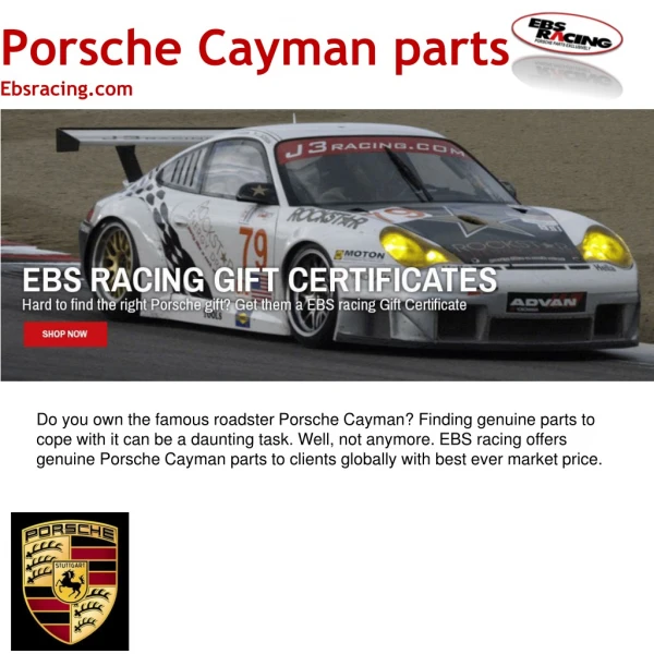 Genuine Porsche Cayman parts supplier to serve your needs! | EBS Racing