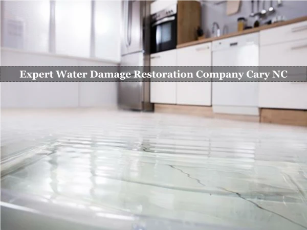 Expert Water Damage Restoration Company Cary NC