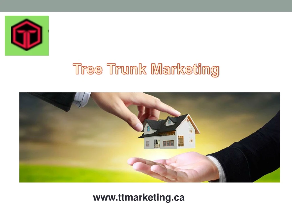 tree trunk marketing