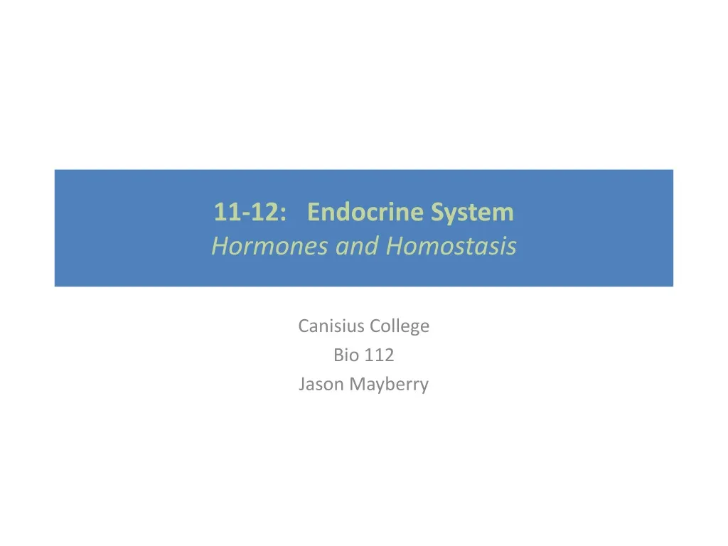 11 12 endocrine system hormones and homostasis