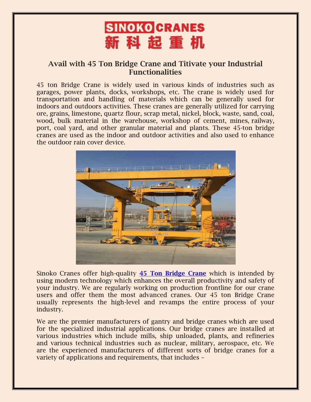 avail with 45 ton bridge crane and titivate your